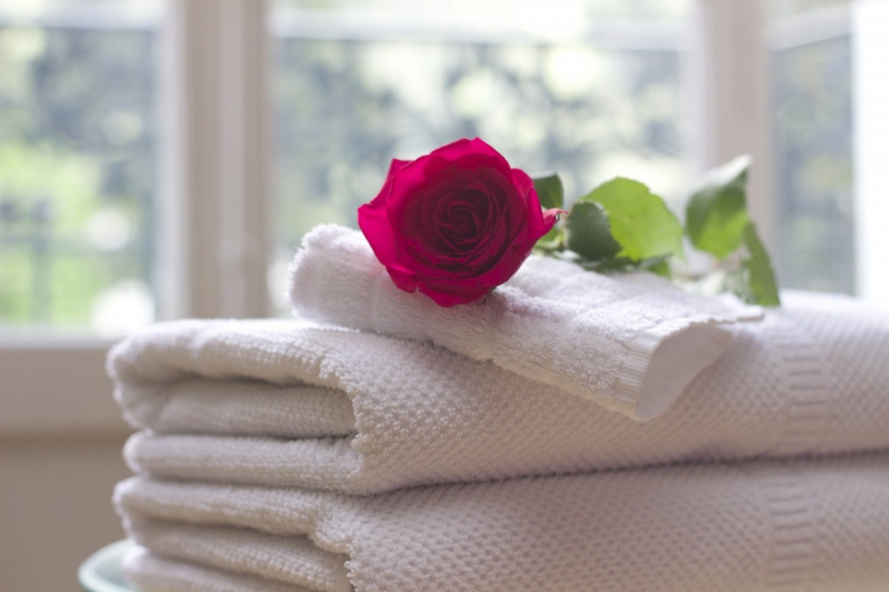 hotel-BEZAUDUN LES ALPES-min_towel_rose_clean_care_salon_spa_white_bath-731641